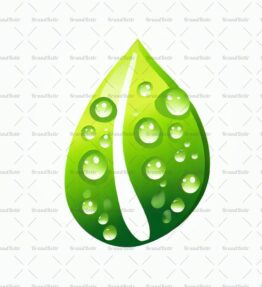 Tautropfen auf einem Blatt